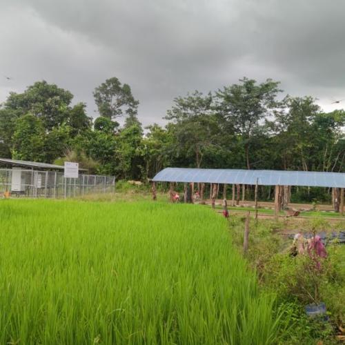 Laos Solar Irrigation System & Energy Storage